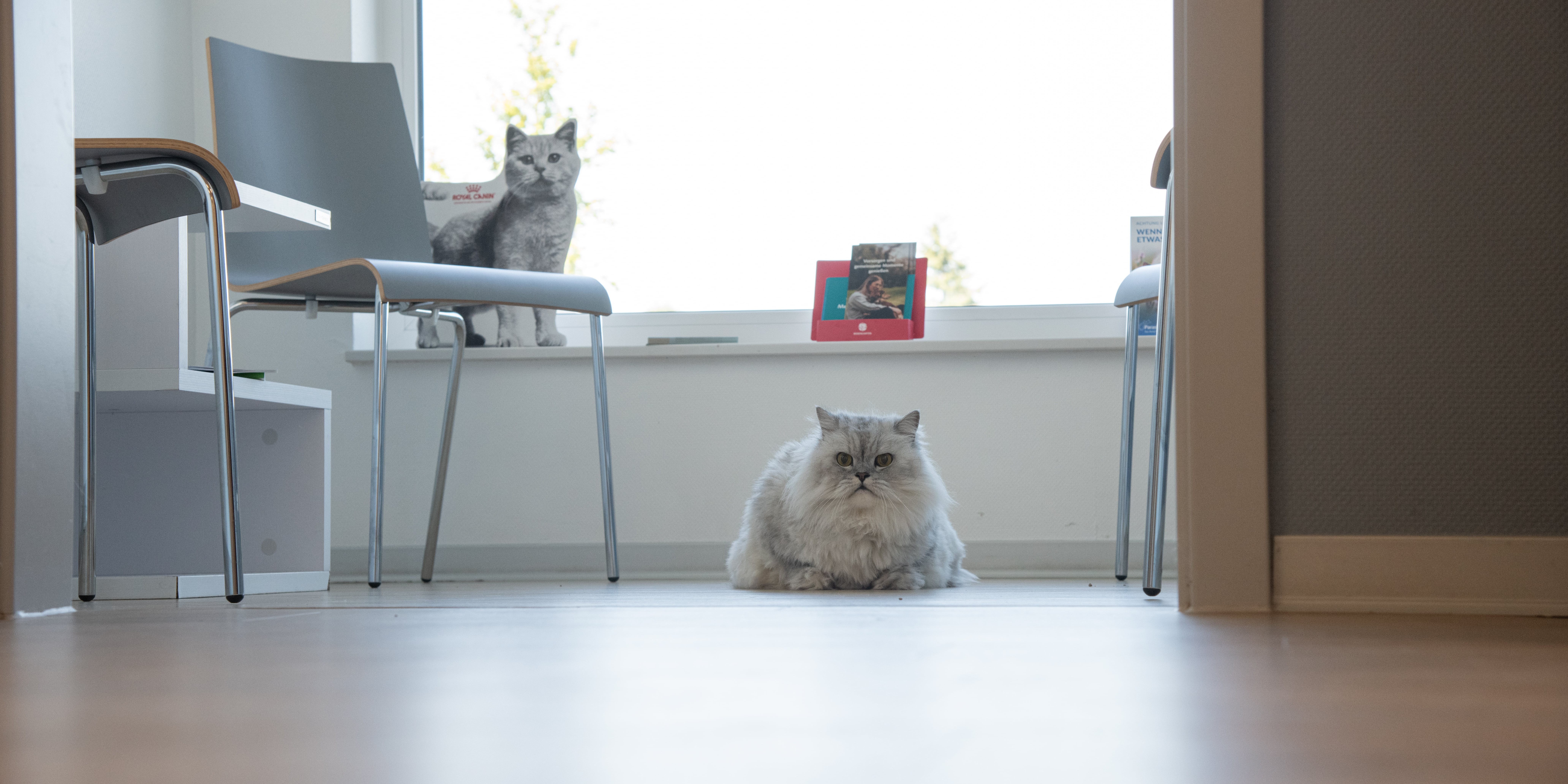 Getrennte Wartezimmer